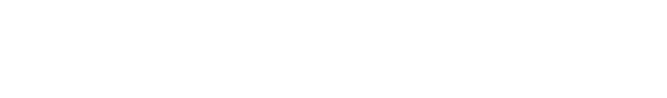 Rozwi Technologies